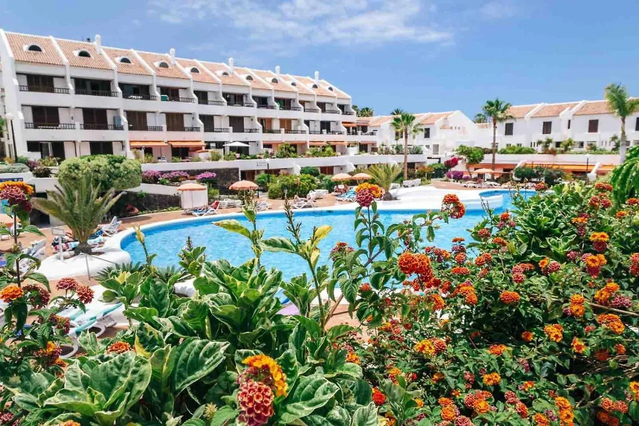 Appartamento Duplex Parque Santiago 1 2A020 Playa de las Americas  Spagna